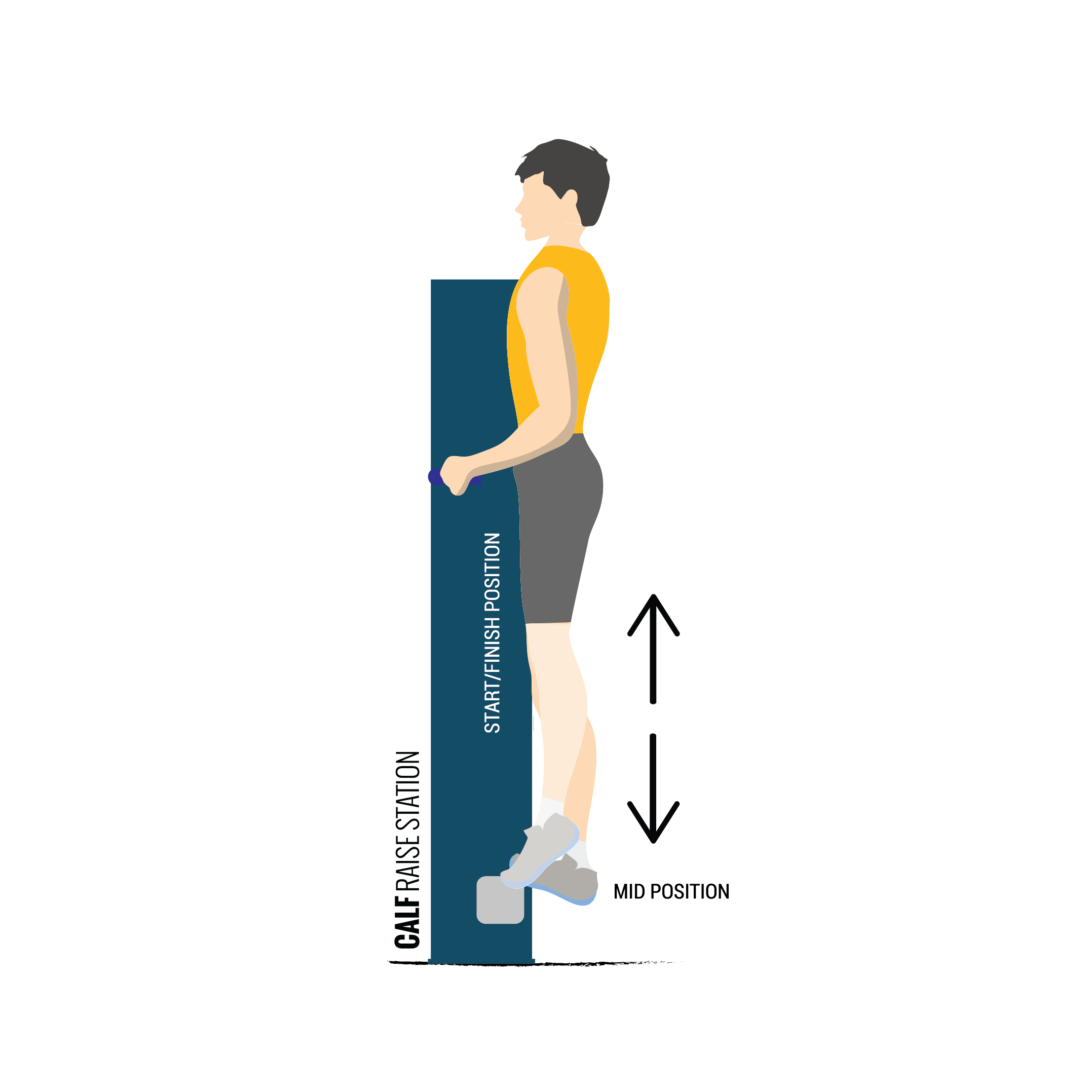 calf raise illustration