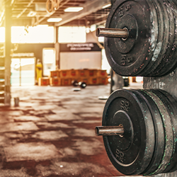 weights in a gym