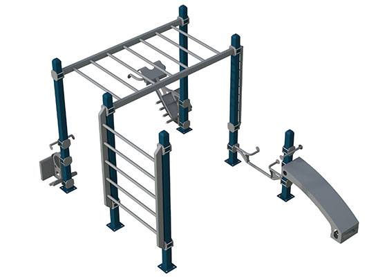 Cali-Line Calisthenics Rigs