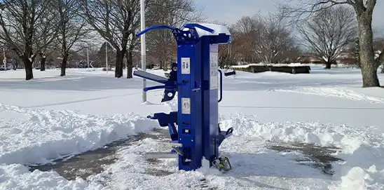 apollo in snow