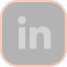 linkedin icon
